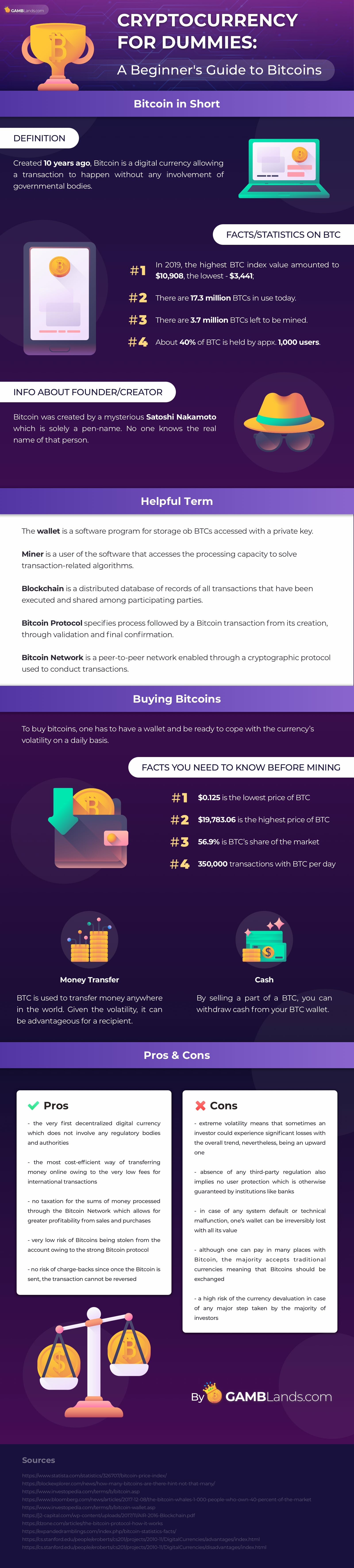 bitcoin for begginers infographic